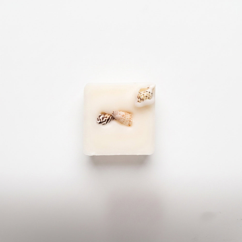 Rocksalt & Driftwood botanical soy wax melt, hand-poured in Mumbles