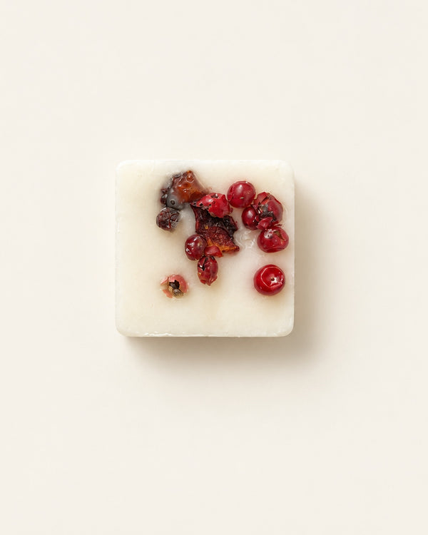 Winter botanical soy wax melt topped with red peppercorns and dried orange peel