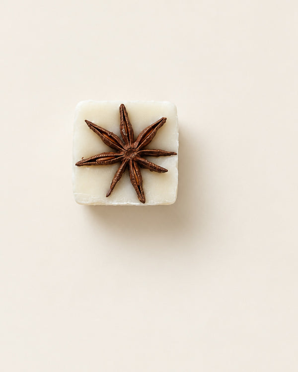 Nutcracker botanical soy wax melt topped with a whole star anise