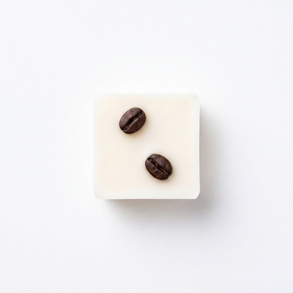 Coffee Mocha botanical soy wax melt with coffee beans, hand-poured in Mumbles